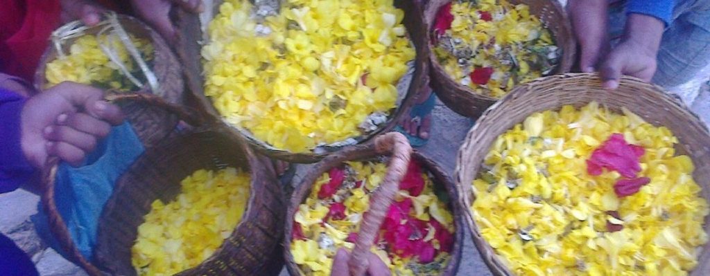 PHOOL DEI (फूल देई) in Uttrakhand India